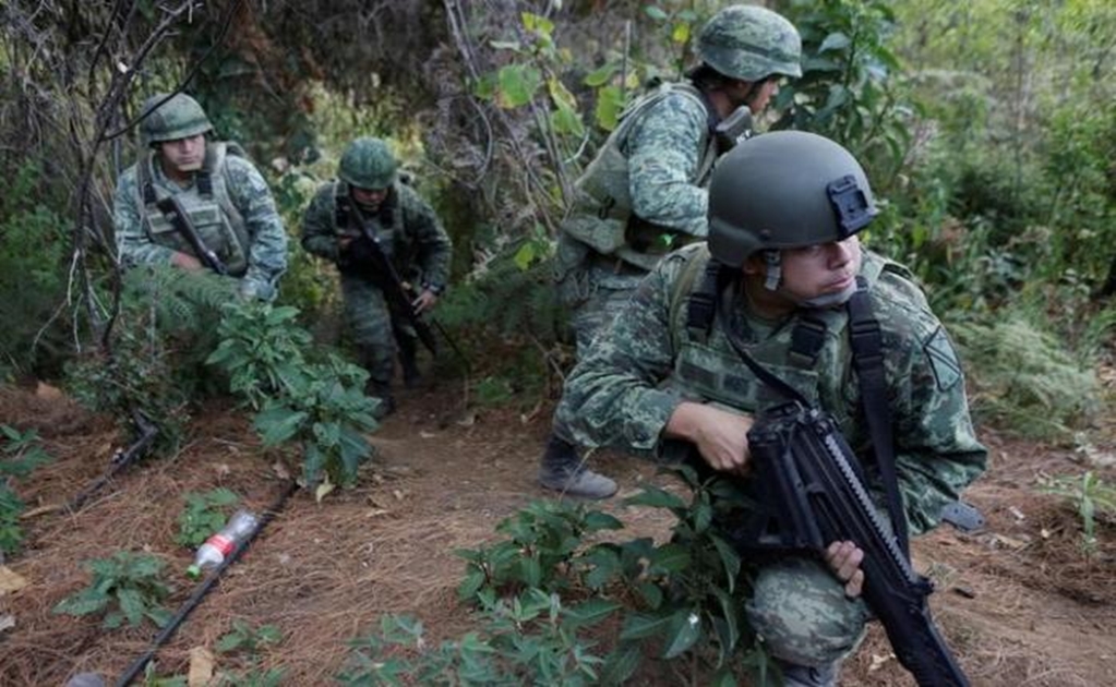 Mexican army fights violence for control of poppy 