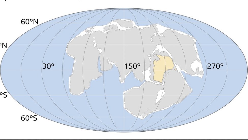 Amasia: ¿cuándo, dónde y cómo se formará el próximo supercontinente?