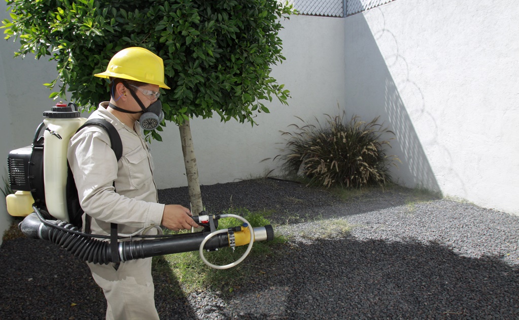 Guadalajara realiza acciones contra dengue, chikungunya y zika