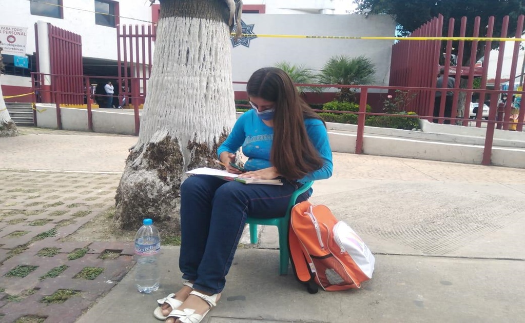 Ofrecen oficina a alumna de secundaria que buscaba wifi abajo de un árbol