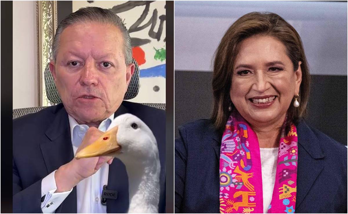 VIDEO Arturo Zaldívar usa dicho “del pato” para señalar a Xóchitl Gálvez como “la candidata del PRI”   