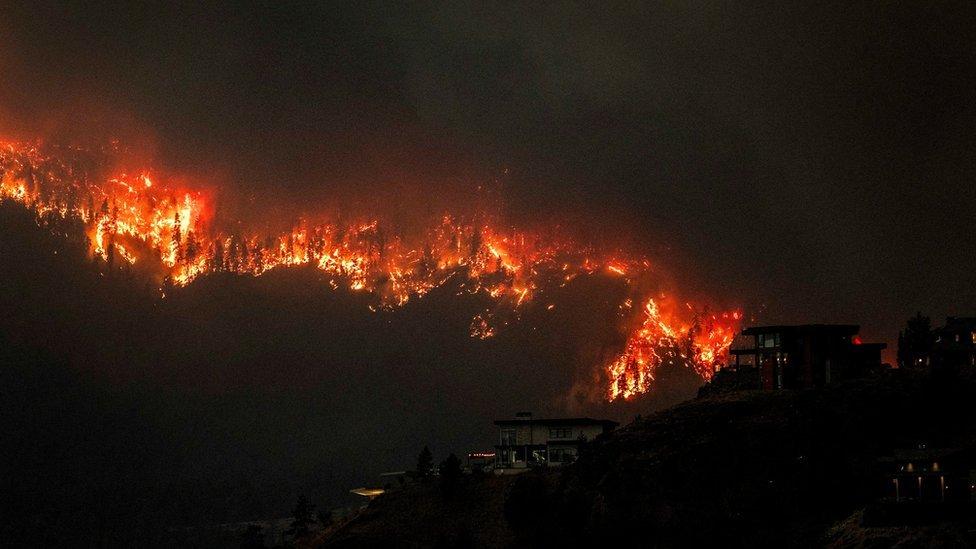 Un rayo, ¿el causante de los incendios en Hawái?, usuarios comparten IMÁGENES