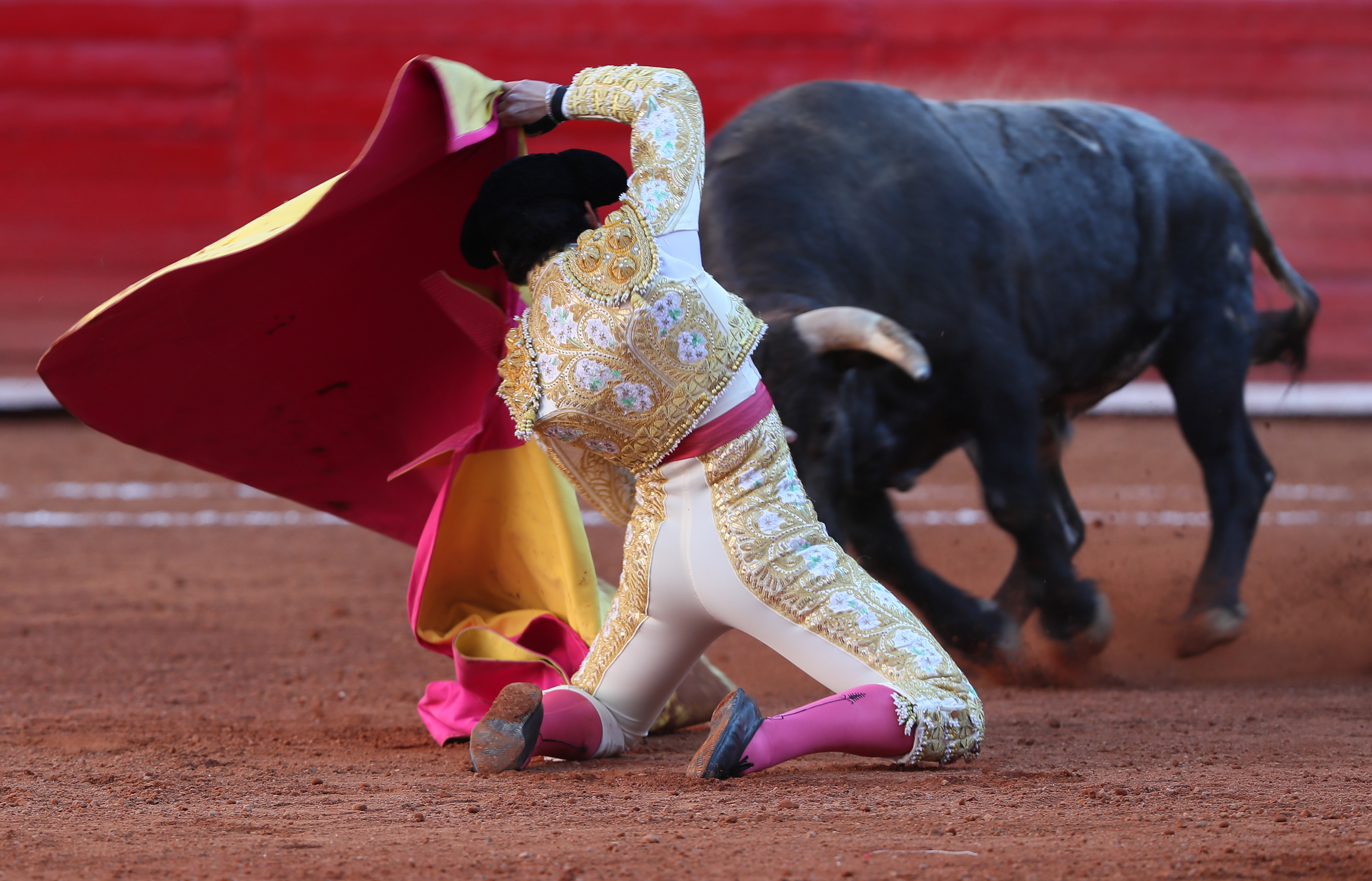 Torero mexicano José Alberto Ortega en estado crítico tras dramática cornada en el cuello. VIDEO