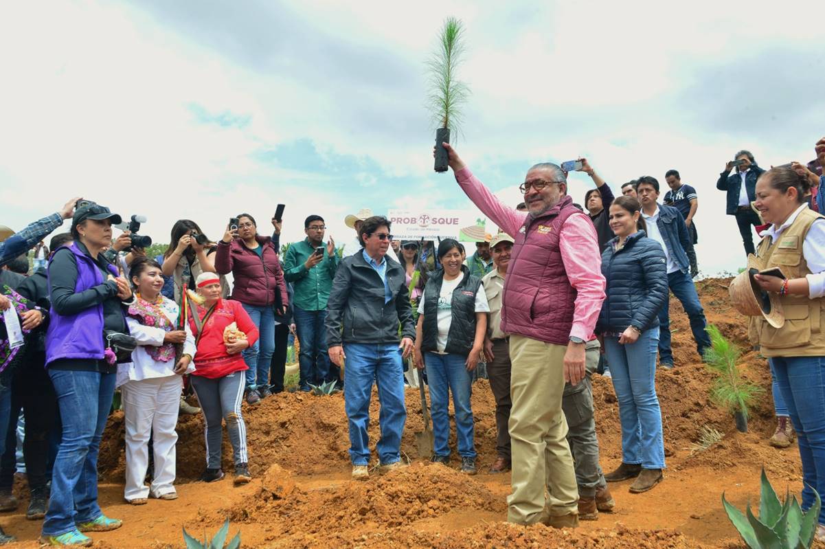 Edomex pone en marcha Plan de Restauración Forestal