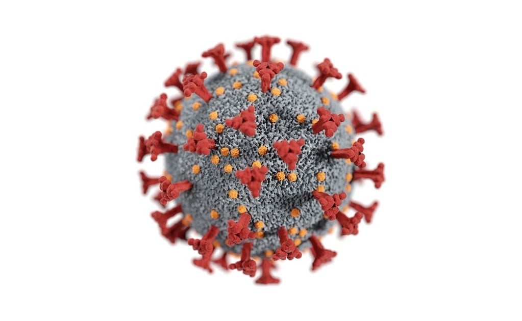 Esto es lo que sabemos acerca de "ómicron", la nueva variante de coronavirus