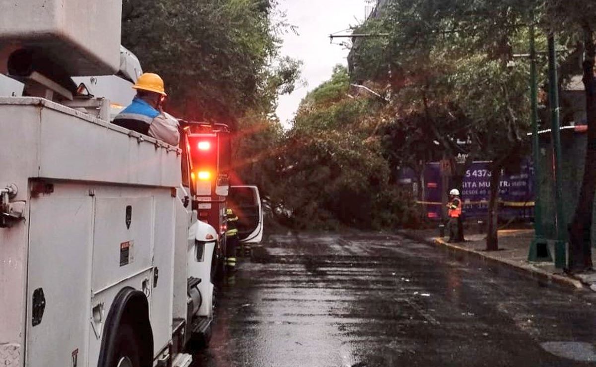 Fuertes lluvias en CDMX provocan encharcamientos y caída árboles