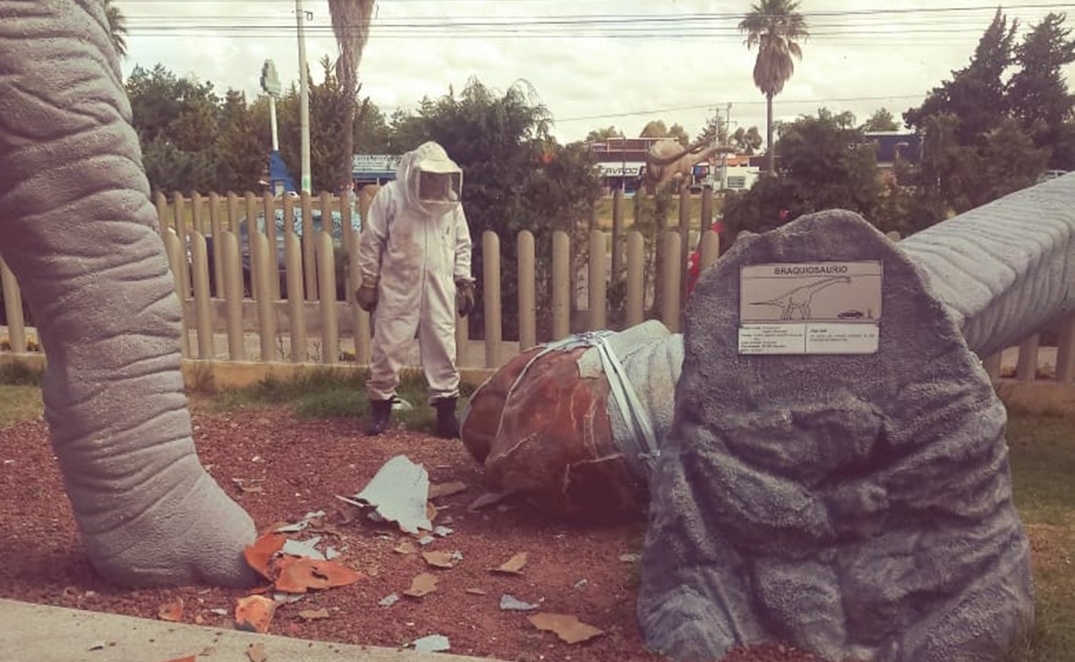 Ataque de abejas desata pánico en parque temático de Hidalgo