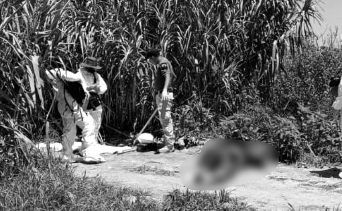 Suman 6 cuerpos hallados en diferentes puntos del municipio de Álvaro Obregón, Michoacán