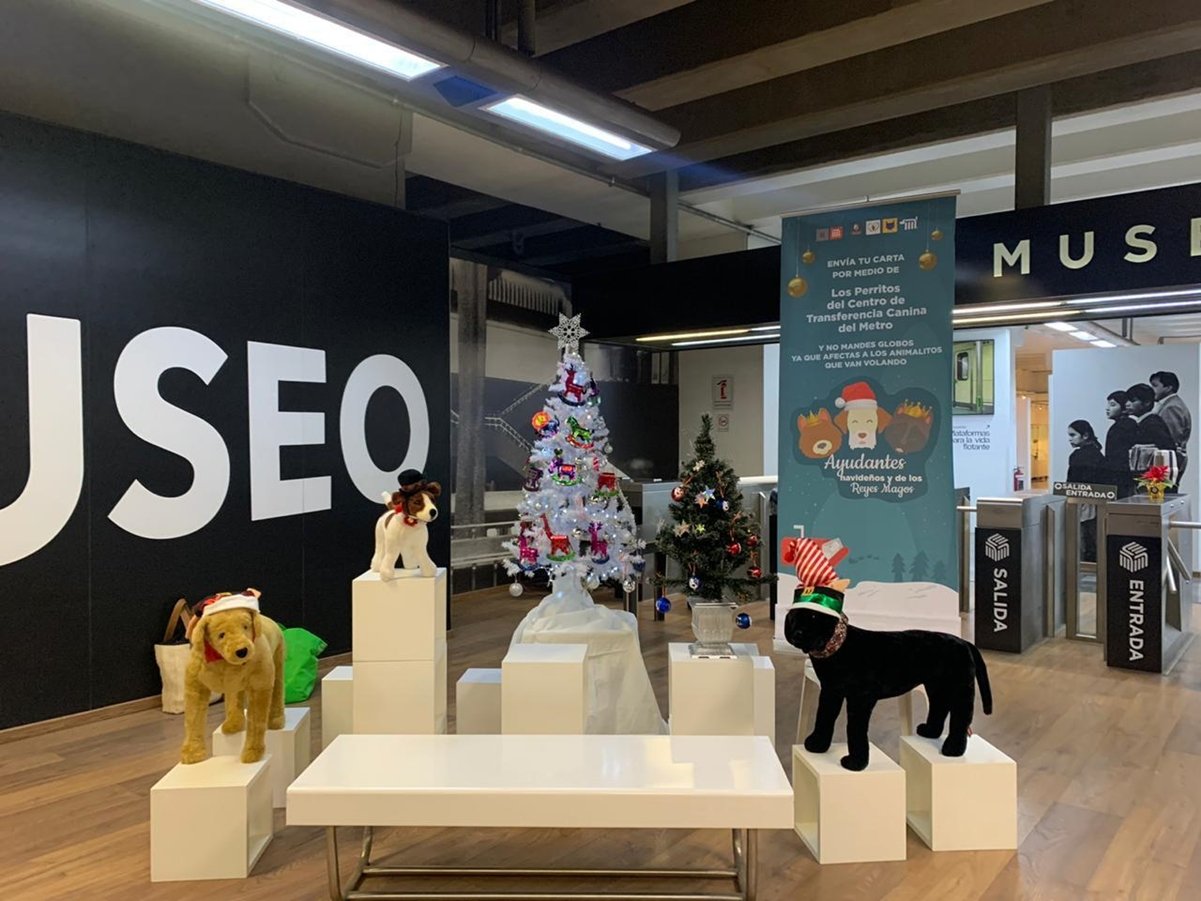 Perritos rescatados en el Metro serán mensajeros de Santa Claus y Reyes Magos