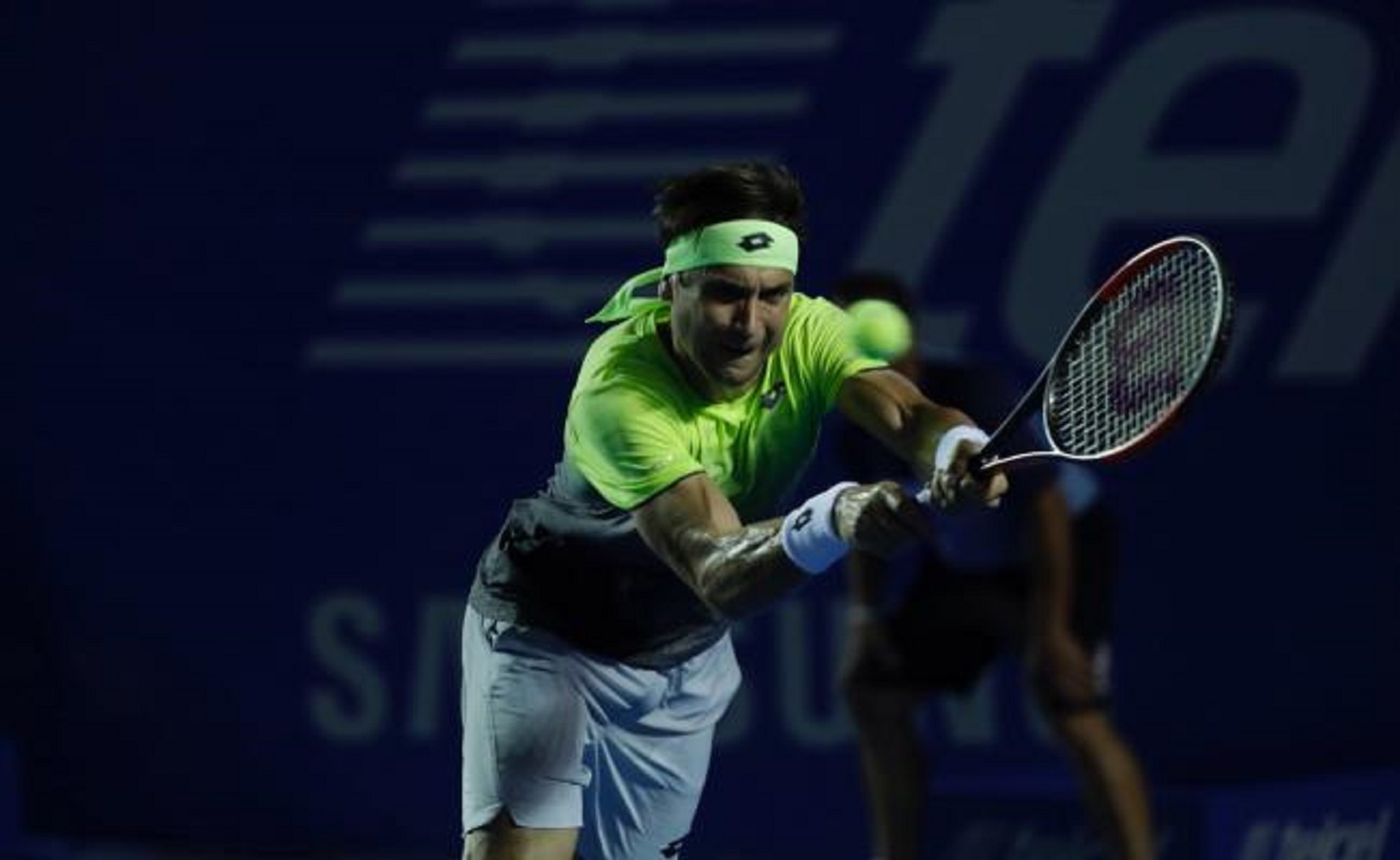 Del Potro elimina a Ferrer en el Abierto Mexicano de Tenis