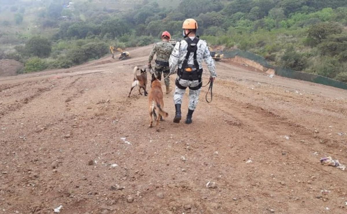 Binomios caninos apoyan en búsqueda de 2 personas atrapadas tras derrumbe en tiradero de basura de Naucalpan 