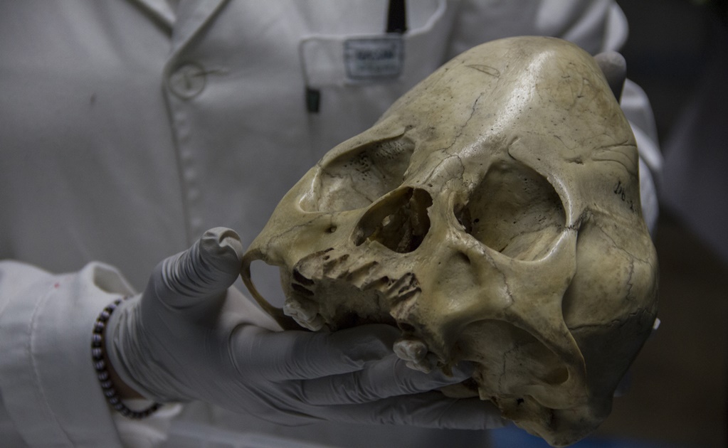 Hallan 3 mil restos óseos en Matamoros, Coahuila 