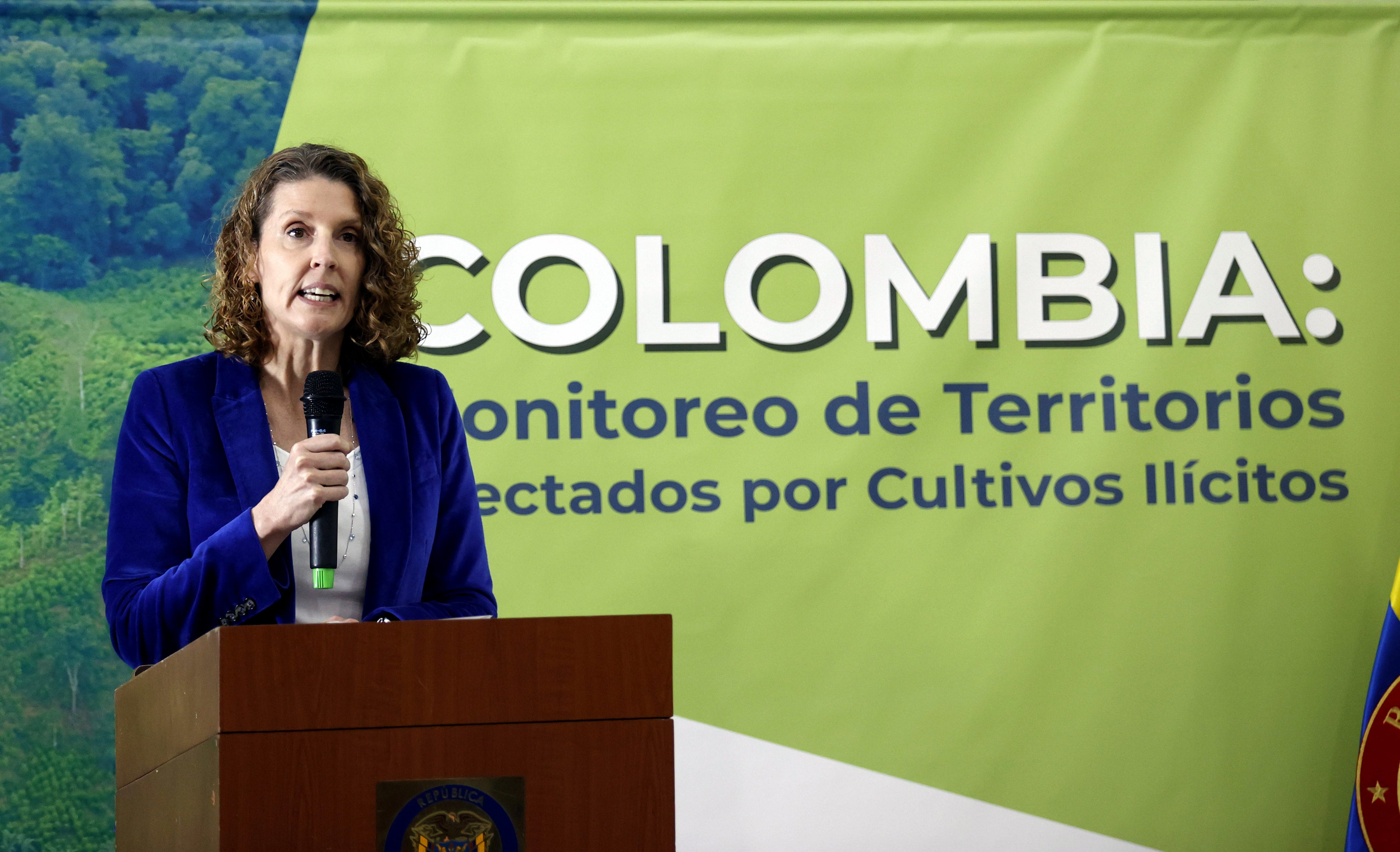 Colombia rompe récord histórico de narcocultivos: 204 mil hectáreas en 2021