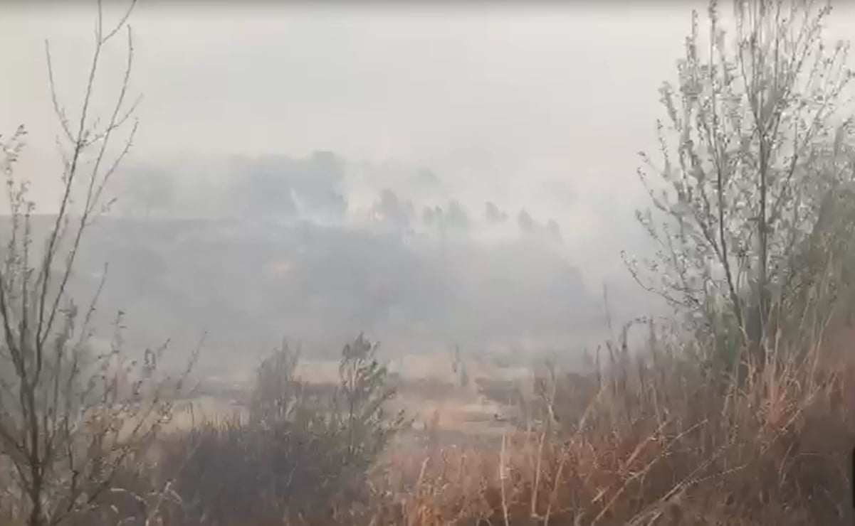 Ceniza de macro incendio forestal eleva la contaminación en Monterrey