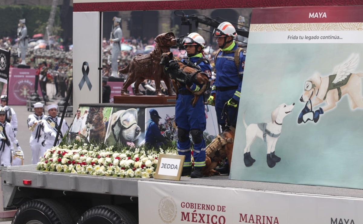 "¡Frida, tu legado continúa!": Recuerdan a perrita rescatista de la Marina en desfile militar