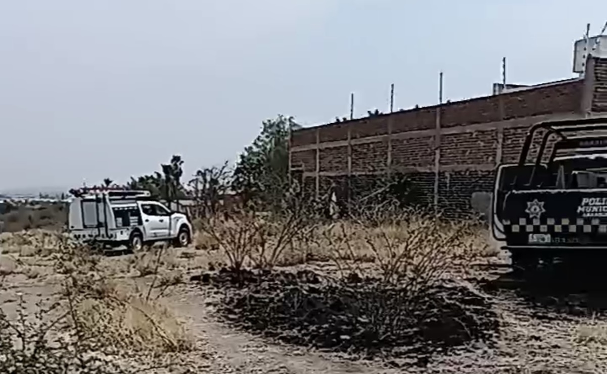 Madres buscadoras y autoridades encuentran cuerpos en fosa clandestina en Abasolo, Guanajuato