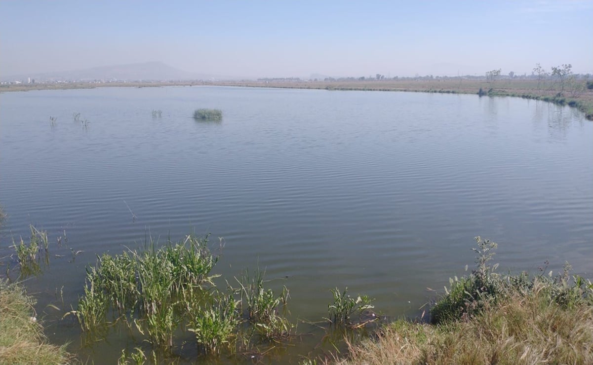 Expertos ven posible recuperar lago de Texcoco si Conagua redirecciona 9 ríos desviados para hacer el ahora cancelado aeropuerto
