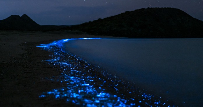 Así es el paseo en kayak por las aguas bioluminiscentes de Florida 