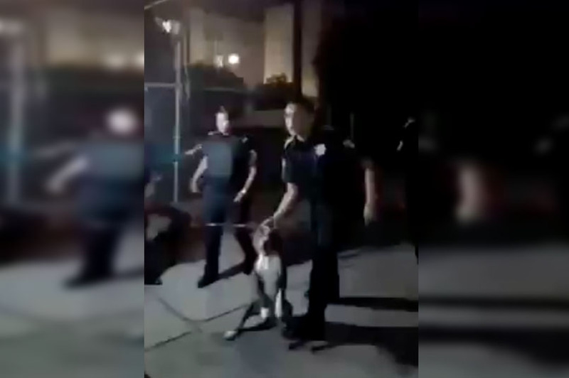 Video. Policías someten a joven con todo y pitbull