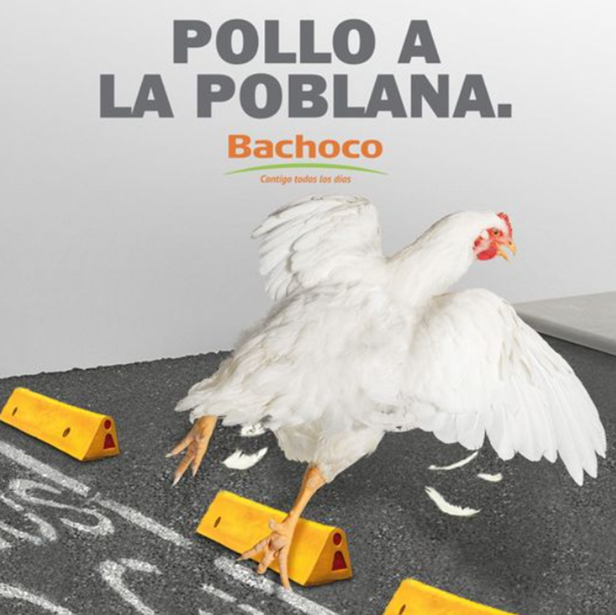 Con "Pollo a la poblana", Bachoco desata memes por publicidad sobre video viral