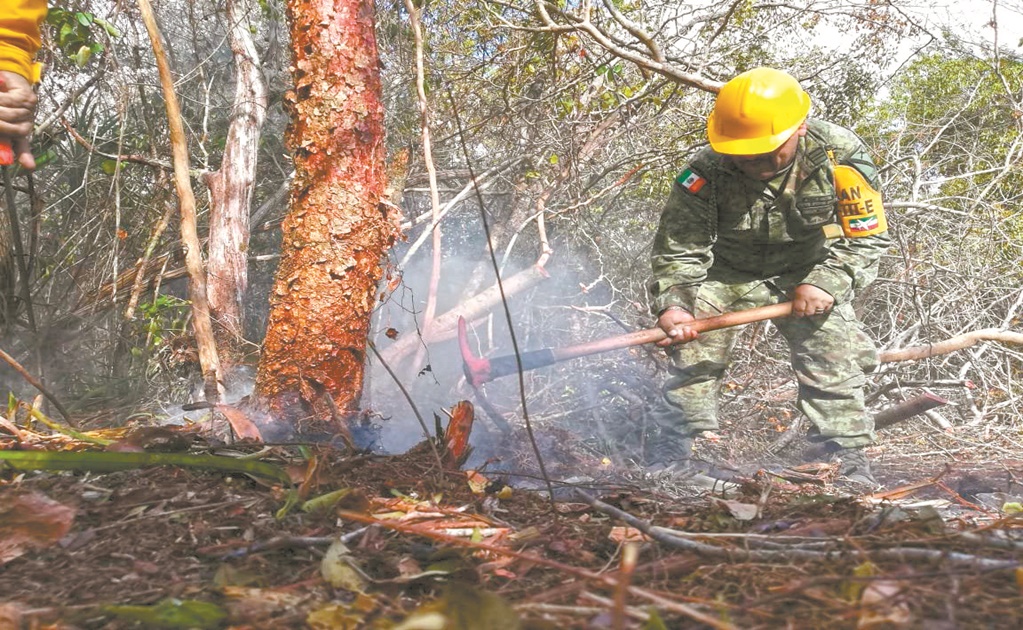 Sedena se suma al combate de incendios en Veracruz y Oaxaca