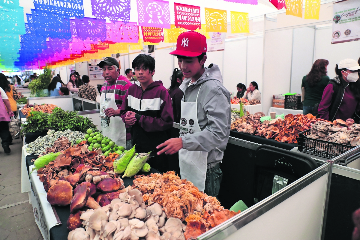 La Feria del Hongo llega a la alcaldía Cuajimalpa