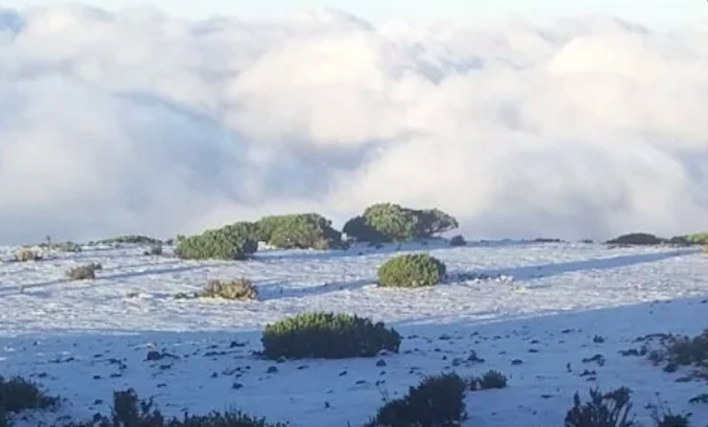 Primera nevada deja capa de 7 a 9 centímetros en Galeana, Nuevo León