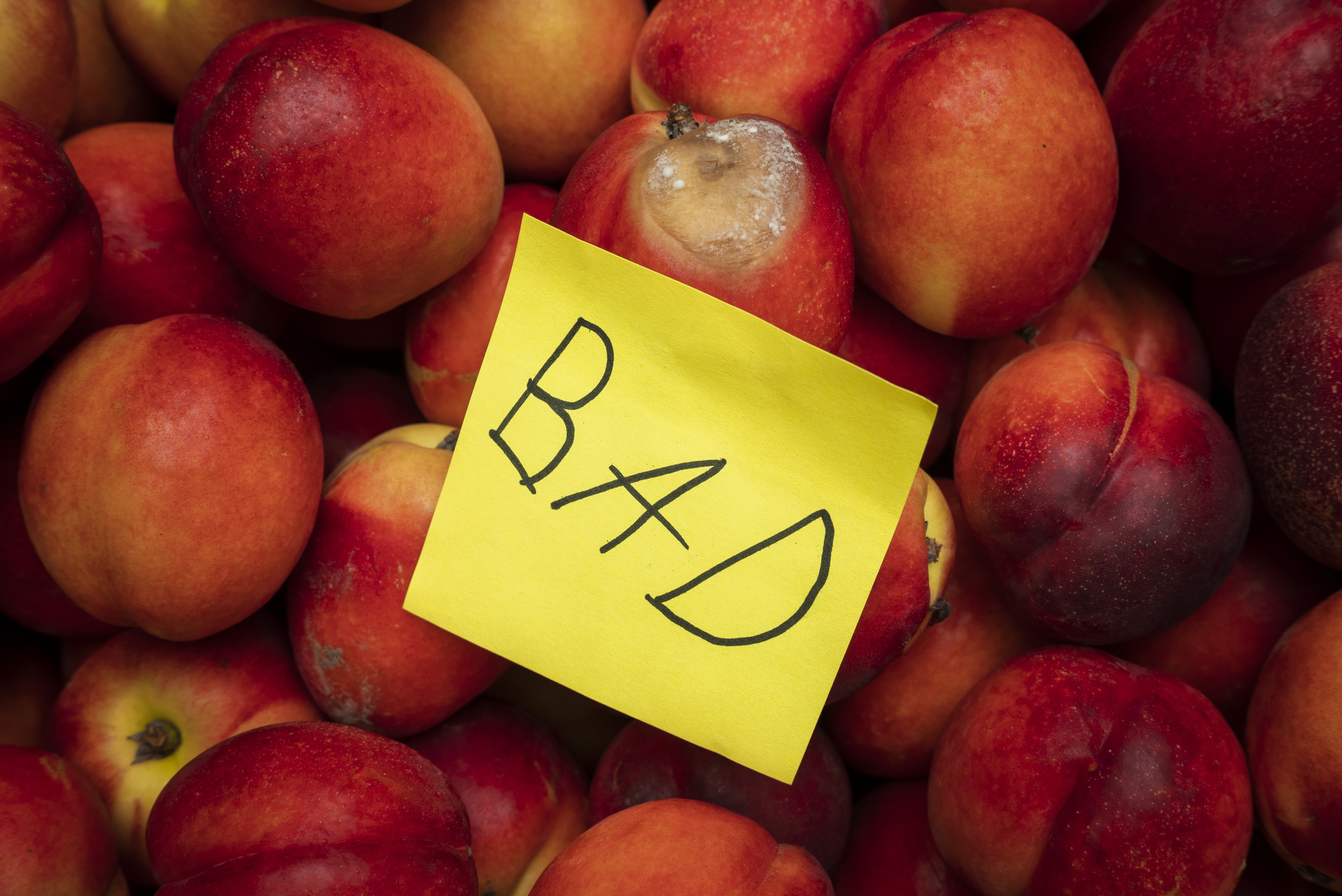¡Cuidado! Cofepris alerta sobre frutas de Estados Unidos contaminadas con bacterias