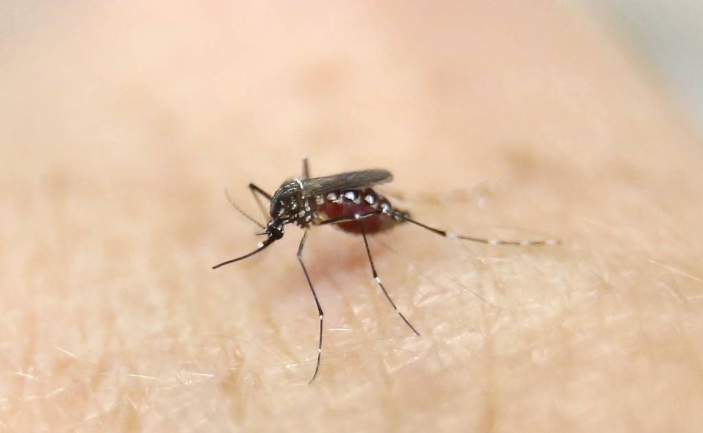 Yucatán reporta dos casos sospechosos de zika