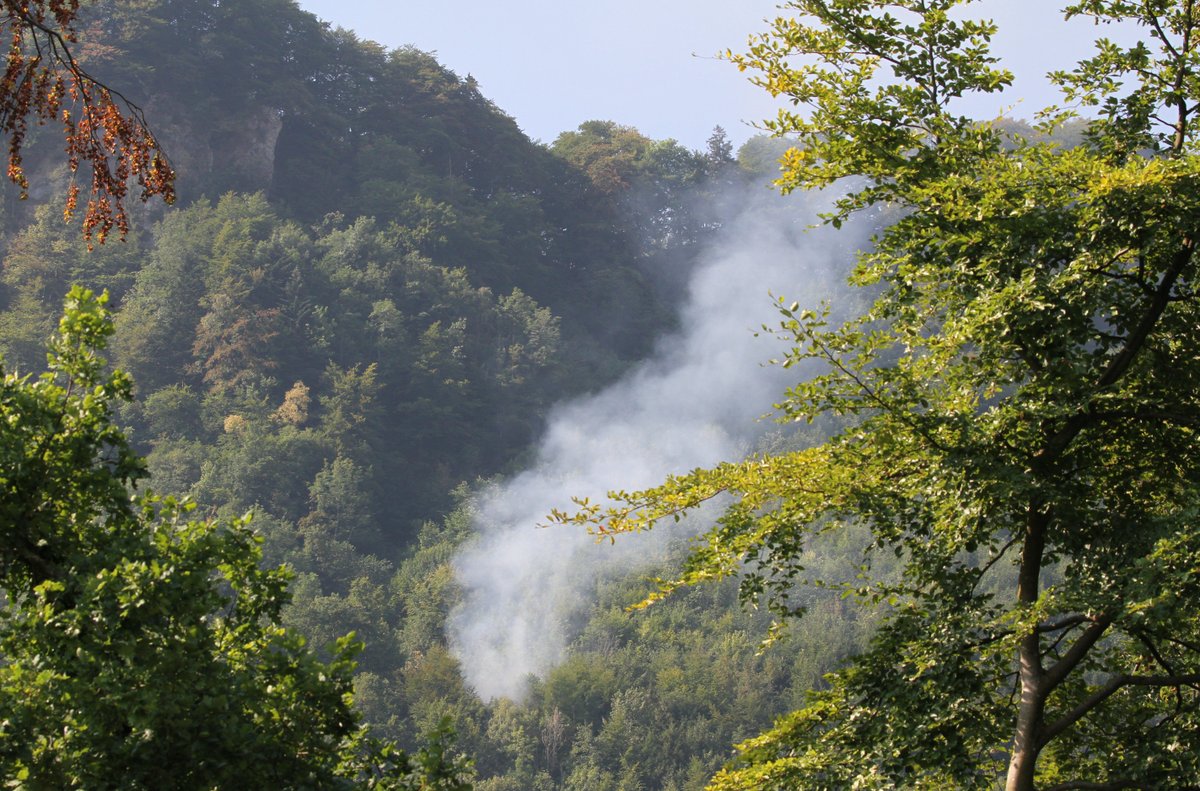 Cae avioneta en bosque de Suiza; hay varios muertos