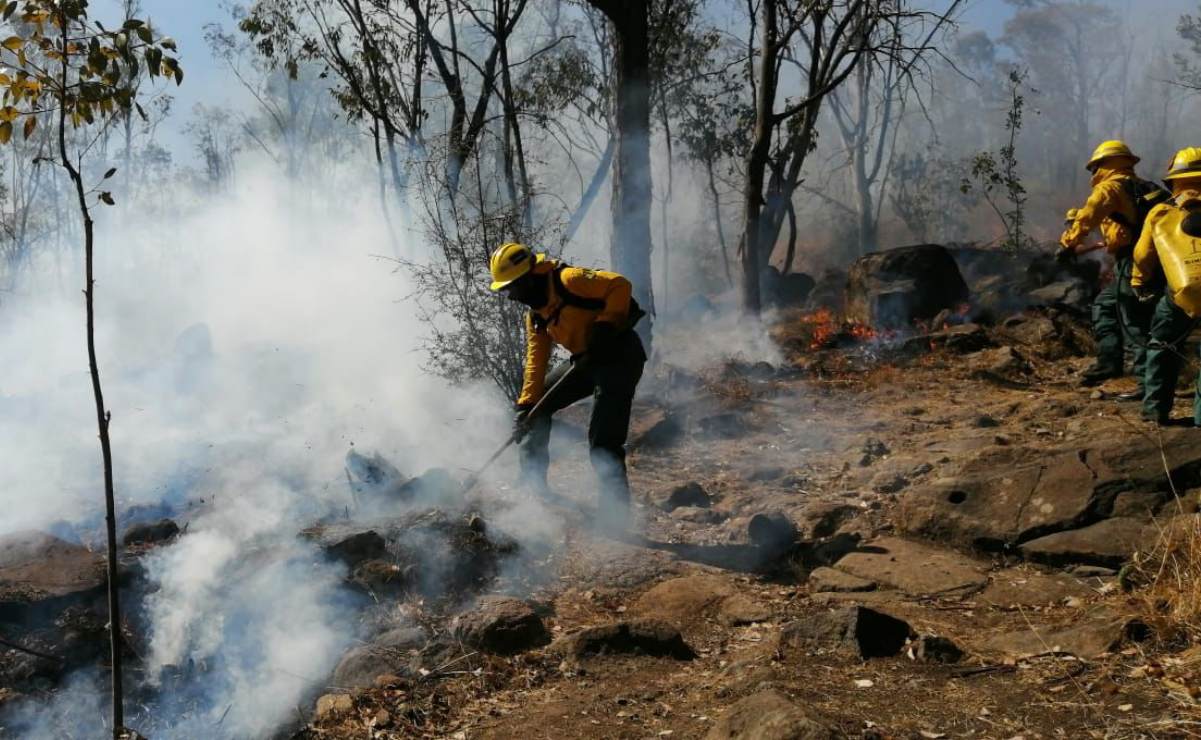 Activan alerta atmosférica en Zapopan por incendio forestal en el Bosque La Primavera