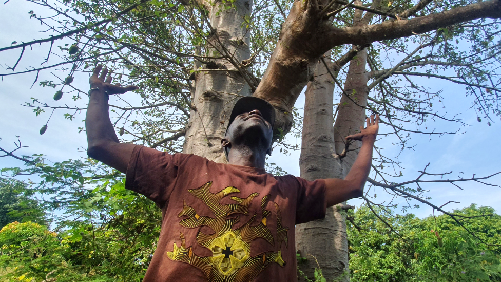 Adama Diémé, el hombre que quiere plantar 5 millones de árboles en África 