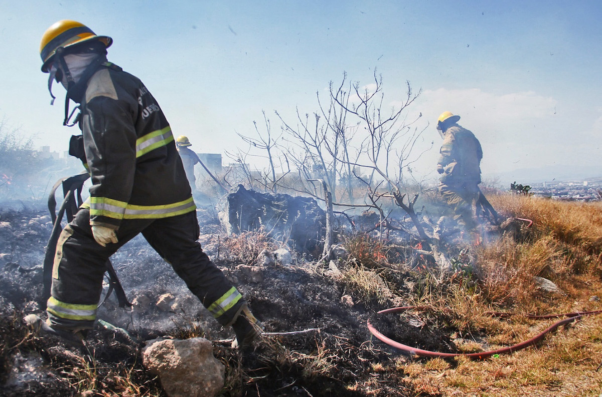 Sedea se mantiene alerta por incendios 