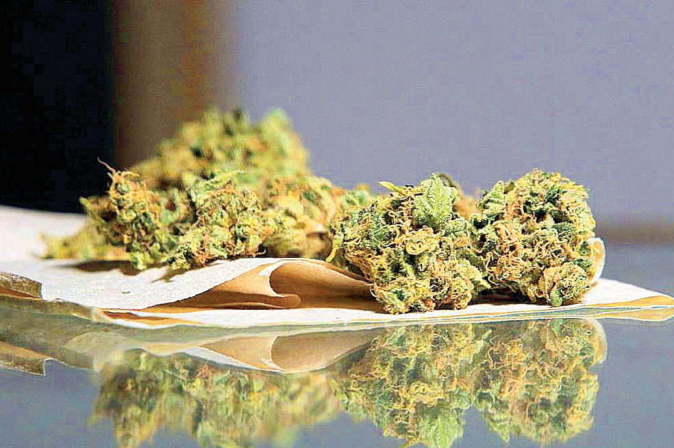 Senado da pasos para legalizar marihuana; plantean aumento en gramaje para consumo personal