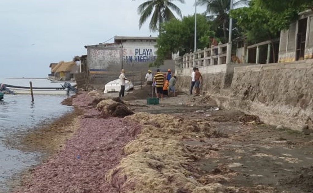 Aumento de sargazo agrava crisis de pescadores en el Golfo de Tehuantepec
