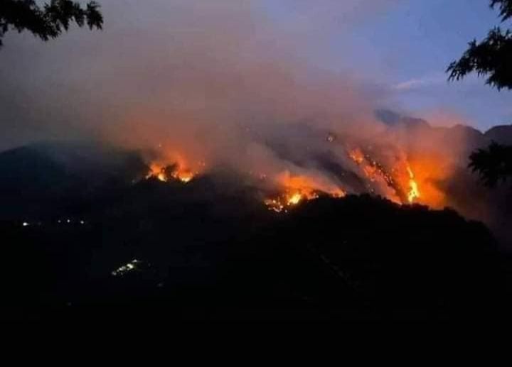 Al menos 16 incendios consumen bosques de Oaxaca; amenazan viviendas y zonas de selva de niebla