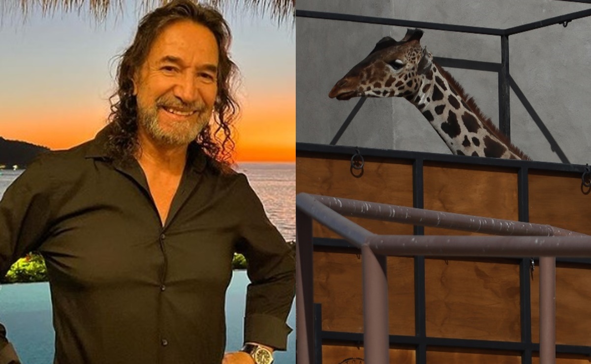 Marco Antonio Solís aplaude el rescate de la jirafa Benito 