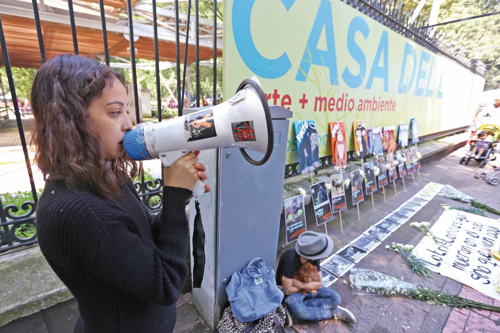 “Sedema pone trabas para transformar zoo”