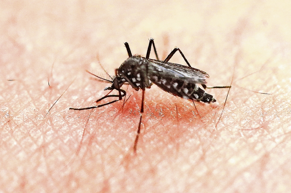 Se duplican casos de zika en México: Ssa