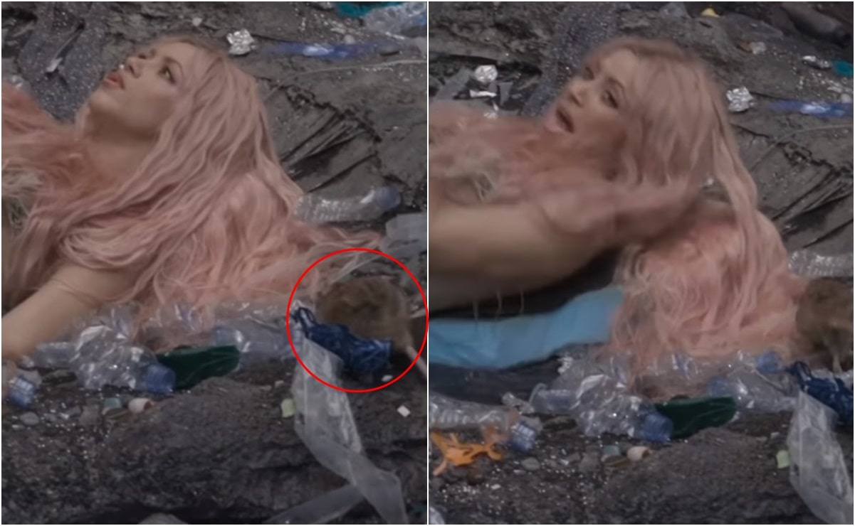 VIDEO: El incómodo momento que vivió Shakira con una rata en el set de "Copa Vacía"