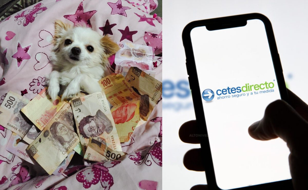 Cuánto es 100 pesos mexicanos en Bitcoin? Suben inversiones en la  criptomoneda que vale millones