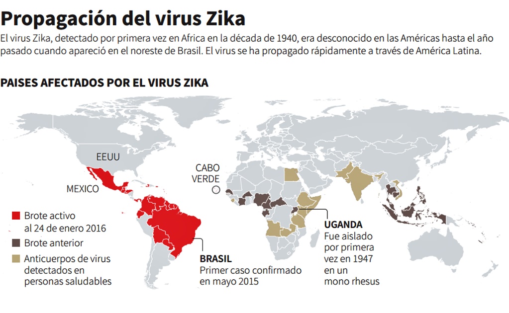 OMS cree que brote de Zika se extenderá por América