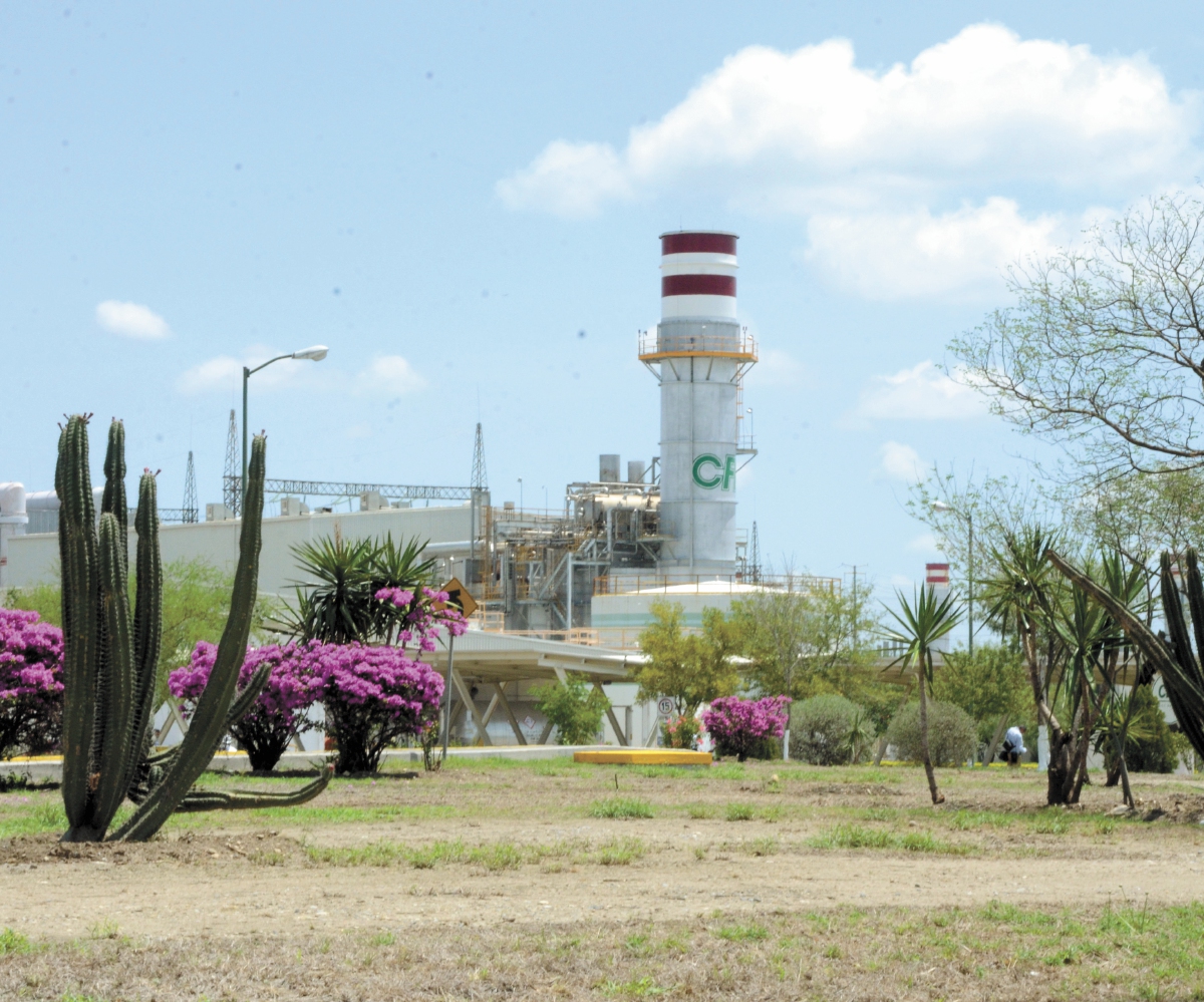 “Políticas en México alejan inversiones sustentables”: expertos