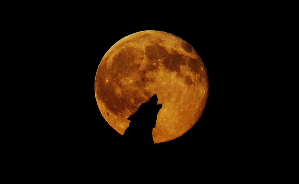 Cuándo se verá la Luna de Lobos en CDMX