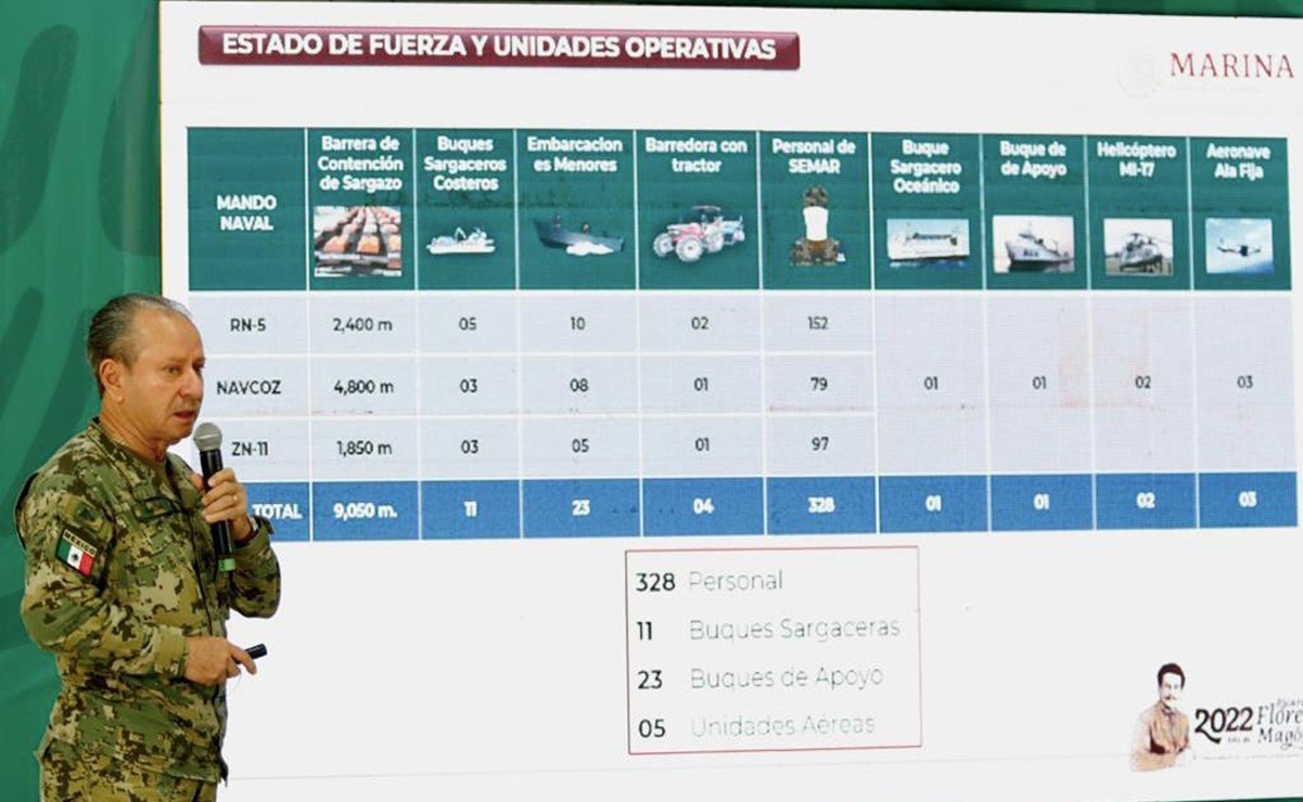 Sargazo en el Caribe prende las alarmas en el Gobierno de México 