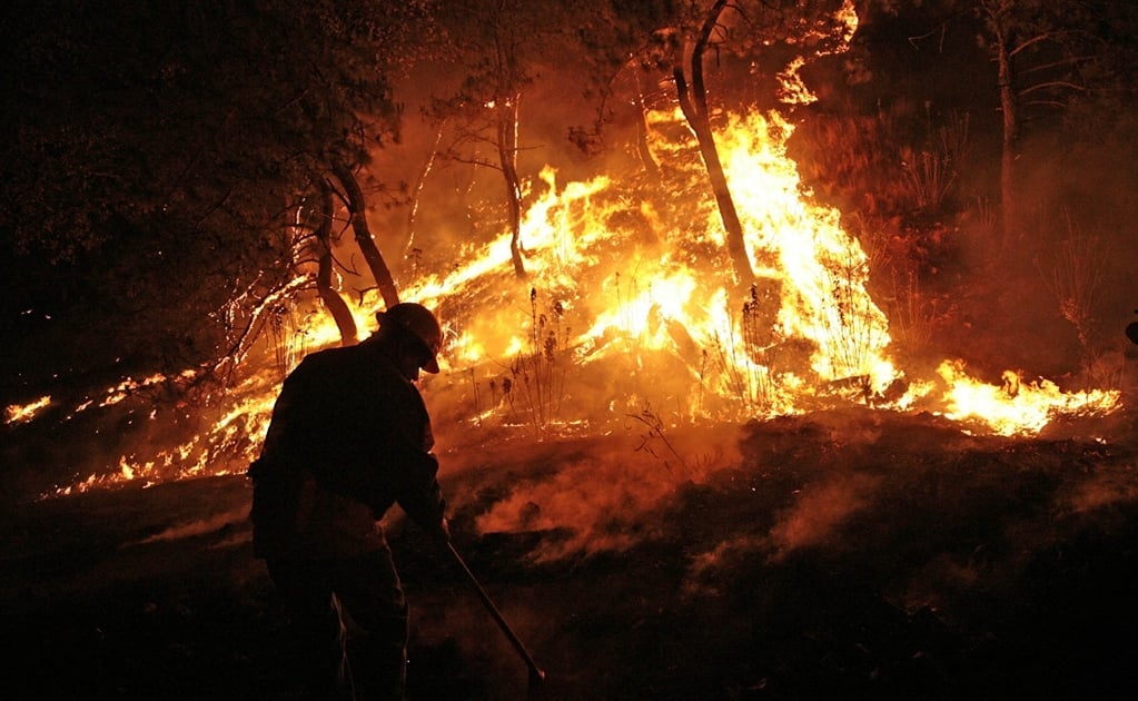 7 recomendaciones para evitar incendios forestales, según la CONAFOR