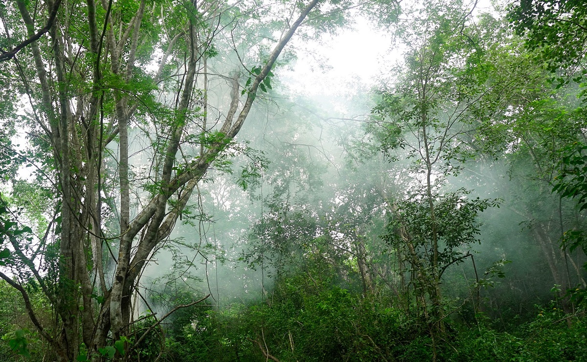 Se adentran en la selva para documentar la vida cotidiana de la comunidad maya