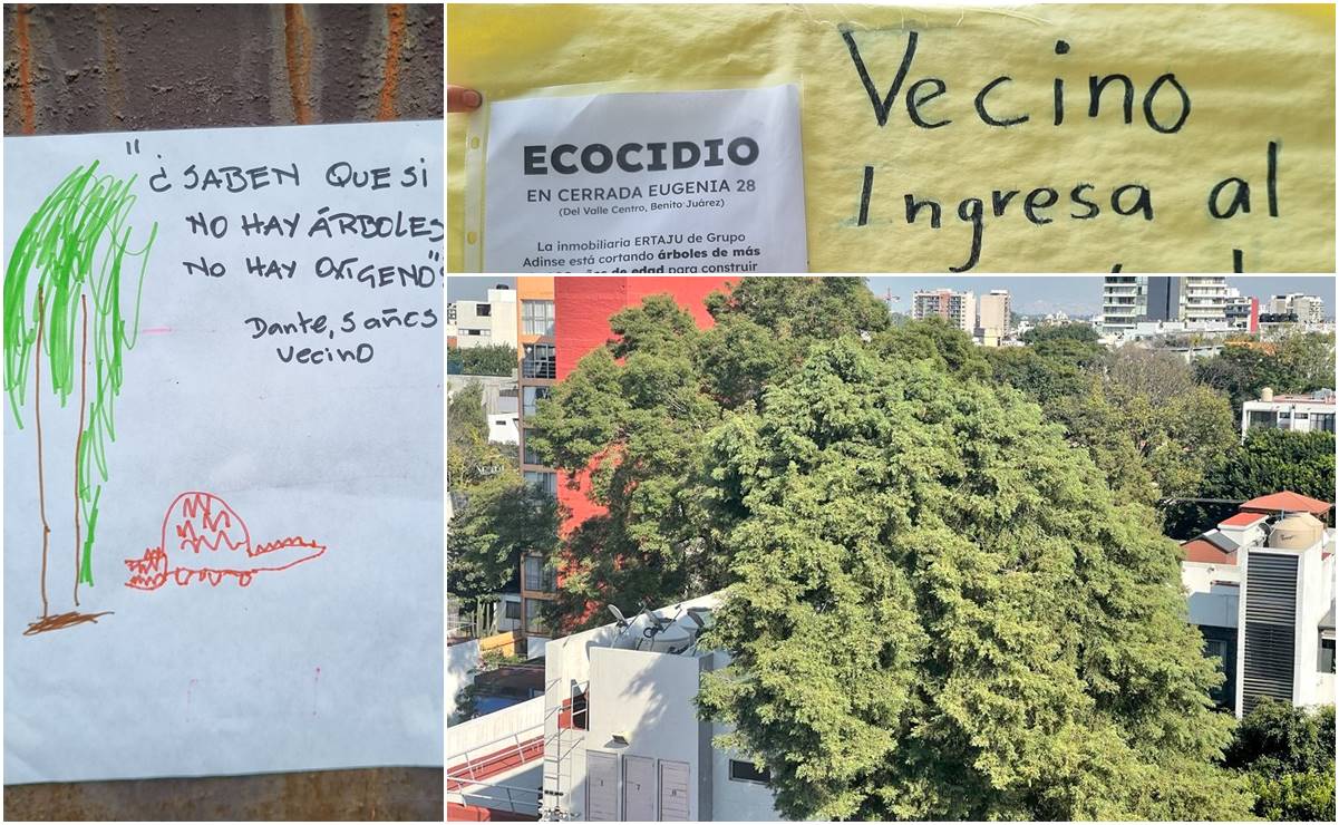 Vecinos realizarán “EugeFest” para celebrar al árbol centenario de la Del Valle