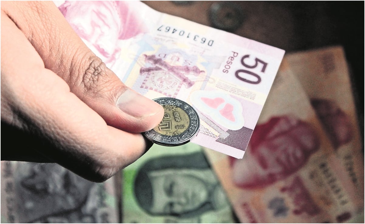 Ante elevado uso de efectivo en México, especialistas ven retos para uso de monedas digitales 