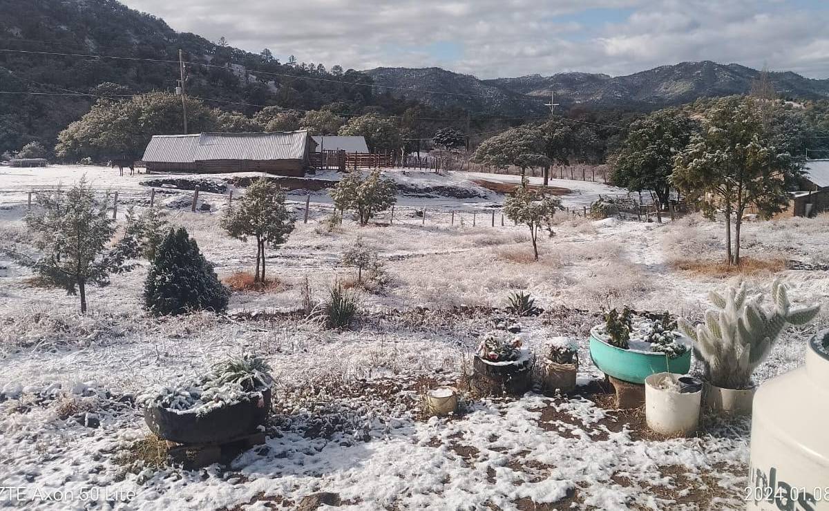 Suspenden clases en Chihuahua por temperaturas de -17 grados bajo cero